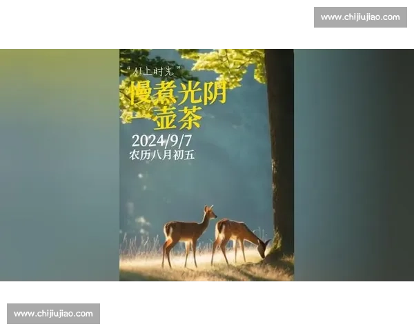 爱无国界,心归此处:我为什么住在这里里的山海答案 贵州卫视耀你好看 爱无国界,心归此处:我为什么住在这里里的山海答案 贵州卫视耀你好看